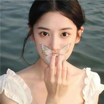 四海鲸骑第二季