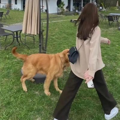 总统之死